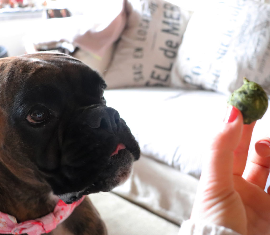 Matilde e I biscottini