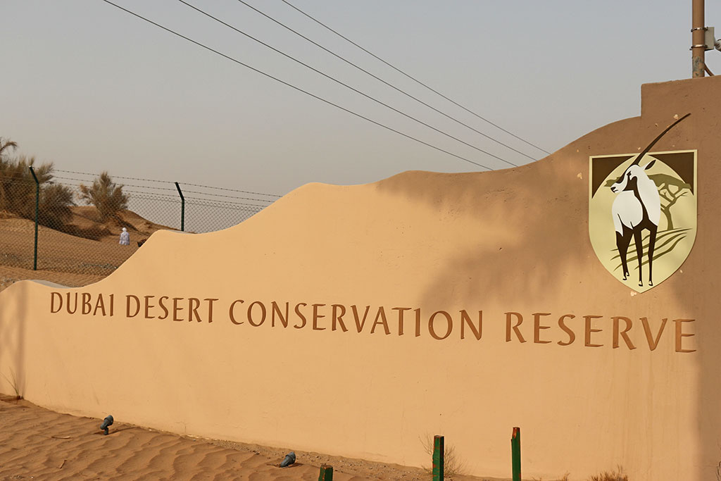 ingresso della desert conservation reserve